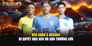 Kèo Châu Á – Bí Quyết Đọc Kèo Và Săn Thưởng Lớn