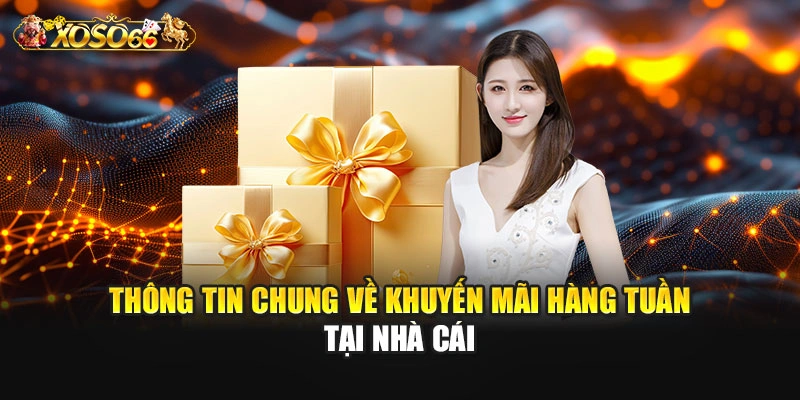 Thông tin chung về khuyến mãi hàng tuần tại nhà cái