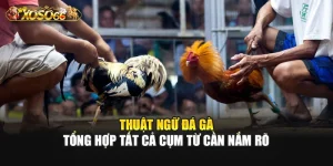 Thuật Ngữ Đá Gà - Tổng Hợp Tất Cả Cụm Từ Cần Nắm Rõ