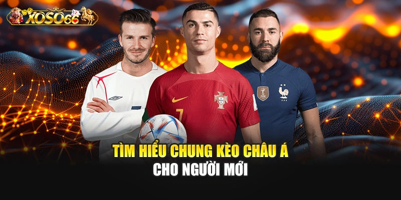 Tìm hiểu chung kèo châu Á cho người mới